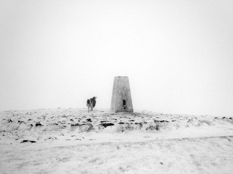 Snowy Pendle